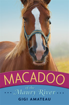 macadoo-cover
