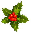 Transparent_Christmas_Mistletoe_Clipart